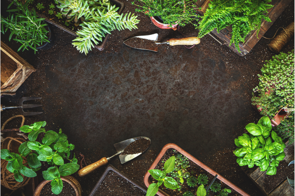 Saturday Women's Workshop Image