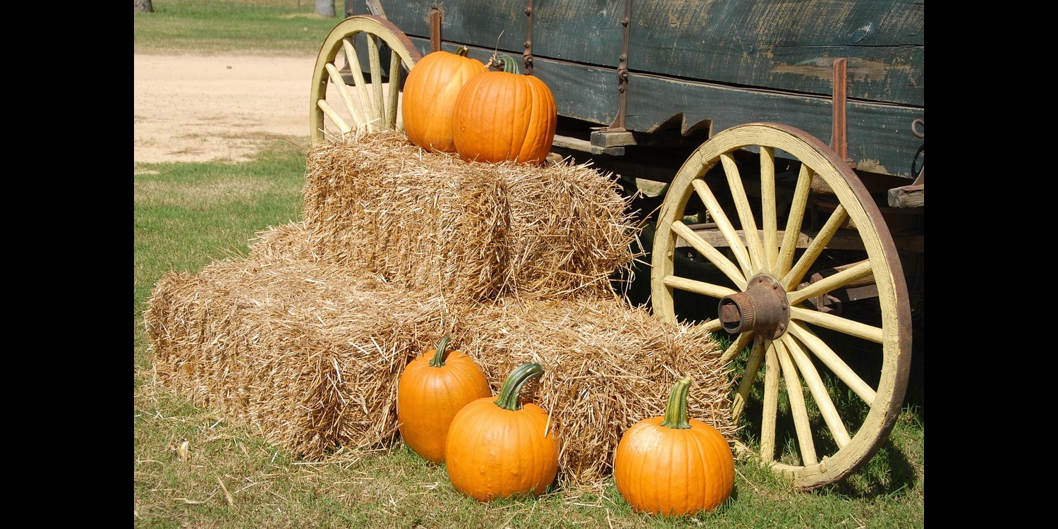 TCN Fall Hayride Image