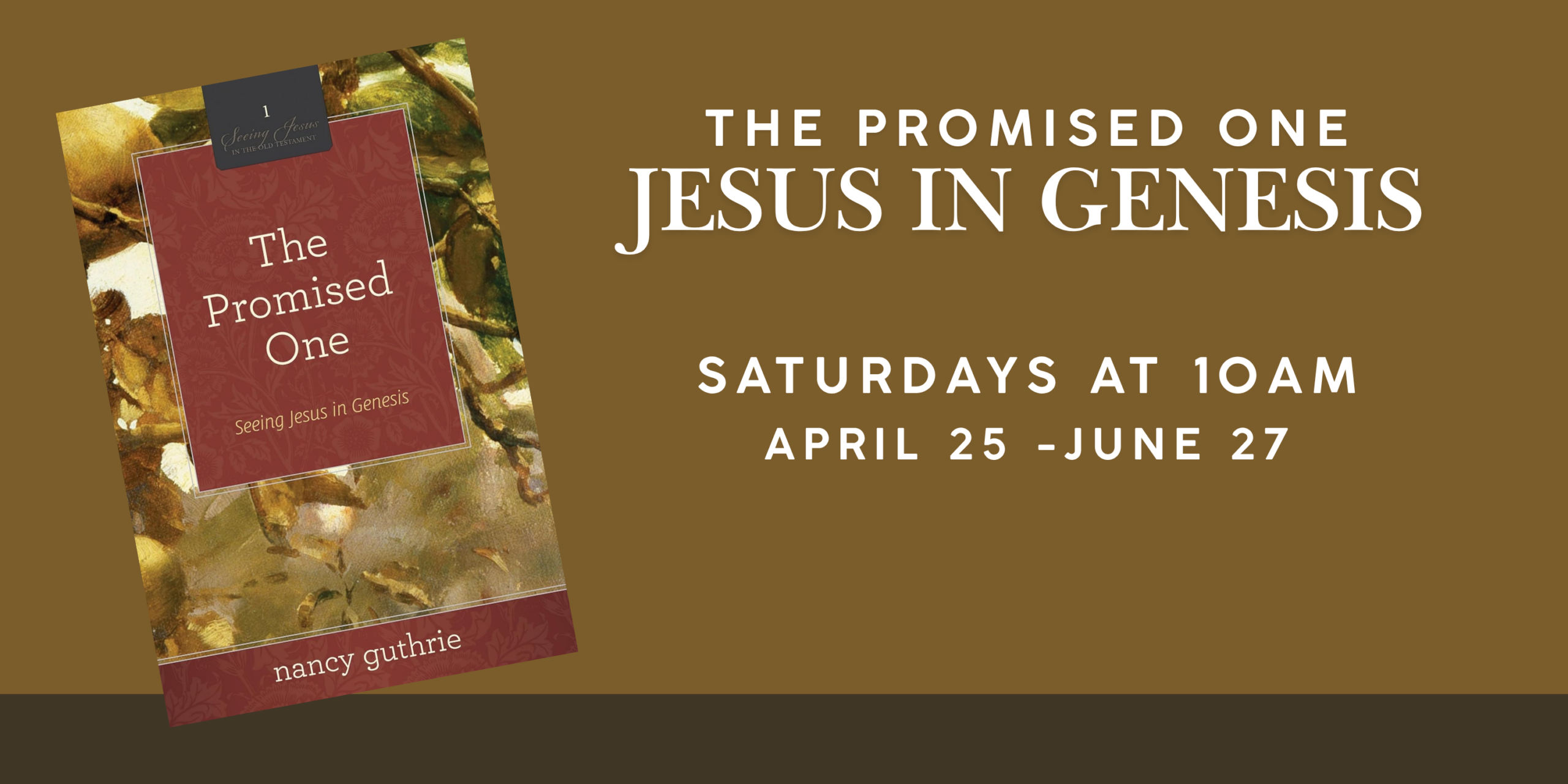 Jesus in Genesis: An Introductory Bible Study Image